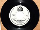 Vel-vets-1967-ORIGINAL WLP 20thCent 6676 Promo-7”-45-