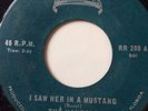 RARE FLORIDA GARAGE FUZZ 45/ THE VANDALS 