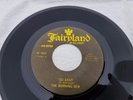 The Morning Dew -  Original 1003 Fairyland - 1967 garage 45 - rare - M-