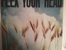 Flex Your Head:Compilation(Minor Threat,Government Issue,Iron Cross,Void)12