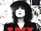 T. Rex-The Slider (Deluxe Black Vinyl) - T.Rex  VINYL NEU
