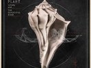 Robert Plant - Lullaby And...The Ceaseless Roar Vinyl LP (3) Nonesuch NEU