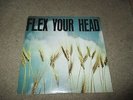 FLEX YOUR HEAD - DISCORD D.C. HARDCORE TEEN IDLES GOVERNMENT ISSUE RED C VOID LP