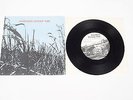 Another Sunny Day - Harvey Williams - Im in love with a girl - Sarah Records - S