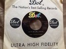 RARE The Sherlocks 45 Georgia Garage Psych Rock Skin of my Teeth 1966 Dot NM-