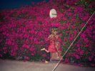 Pleasure [VINYL]