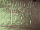 DOZZY, Donato - K - Vinyl (2xLP + MP3 download code)