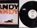 The Jesus And Mary Chain - Psychocandy LP WEA 24 07901 with inner sleeve