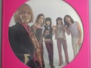 The Rolling Stones LP - Picture  Disc - Compilation Decca 30010