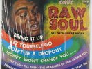 James Brown - Sings Raw Soul LP - King