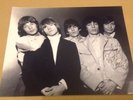 CHARLIE WATTS  - ROLLING STONES SIGNED BW  PHOTO  - 10 x 8 Inches   -  AUTHENTIC