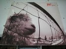 Pearl Jam - Vs LP still sealed original US pressing 1993 Epic Associated
