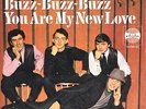 THE EXCHECKERS * Buzz-Buzz-Buzz * deutsche Beat  Single