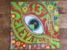 The Psychedlic Sounds of the 13th Floor Elevators-original vinyl