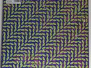 ANIMAL COLLECTIVE - Merriweather Post Pavilion **180gr-Vinyl-2LP**NEW**MP3-Code*