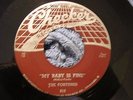 FORTUNES My Baby Is Fine / Believe In Me Doo Wop Rock R&B 45 Checker Orig. VG+
