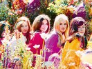 HONEY LTD - COMPLETE LHI RECORDINGS NEW VINYL