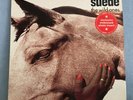 SUEDE The Wild Ones 1994 UK 12