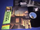 PINK FLOYD   ANIMALS   JAPAN   1977 1ST PRESS OBI STICKER INSERT IMMACULATE M-