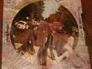 Brand NEW  Beatles Abbey Road  Picture disc/ never open