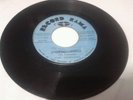 THE STINGERS - REBEL MOOD ( RARE REGGAE 70'S)