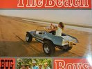 The Beach Boys 