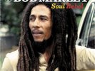 BOB MARLEY - SOUL REBEL   VINYL LP NEW