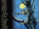 IRON MAIDEN - FEAR OF THE DARK (2015 REMASTERED VERSION)  2 VINYL LP NEU
