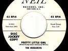 MONARCHS - Neil 101 - Pretty Little Girl / In My Younger Days- DOO-WOP DJ 45 VG+