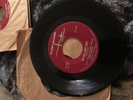 THE SHAGGS My Pal Foot Foot - Things I Wonder Fleetwood FL 4584 single EX. RARE