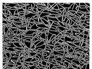 /1550852/ Wire - Silver/Lead [CD]