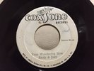 ANDY&JOEY/YOUR WONDERING NOW&DON DRUMMOND/SURPLUS COXSONE SKA 45