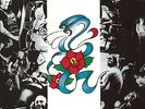 Rose Tattoo - Rose Tattoo