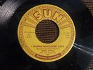 JERRY McGILL & TOPCOATS : LOVESTRUCK /  I WANNA MAKE SWEET LOVE : SUN ORIGINAL