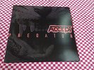 ACCEPT  PREDATOR  12