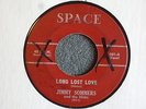 RARE TEEN R&R 45 Jimmy Sommers and the Slicks Long Lost Love Space 001 HEAR MP3