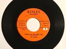 THE JESTERS Please Let Me Love You RARE 1957 ORIG DOO-WOP ROCKER Winley HEAR