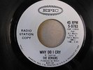 The Remains “My Babe/Why Do I Cry” Garage Rock WLP 1965 Nice NM Copy