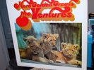 THE VENTURES.  