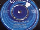 INFORMATION   LOVELY TO SEE YOU ** 1970 EVOLUTION 45