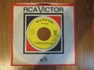 The Rokes When the Wind Arises killer beat/psych promo 45 RCA mp3