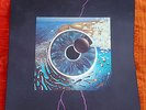 Pink Floyd Pulse Box  4 LP Vinyl Edition im einwandfreien Zustand