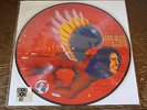 David Bowie - The Man Who Sold The World (Scarce RSD Picture Disc Vinyl Album)