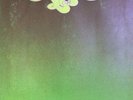 YES - CLOSE TO THE EDGE..SUPERB  1ST UK PRESS LP TEXTURED SLEEVE A1/B1 Matrix