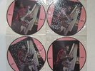 Bruce Springsteen Back To The Roots Bruce Zirilli Rock Picture Disc 4 X LP