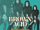 Brown Acid The Second Trip LP on Marbled Turquoise Vinyl