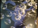 Transllusion L.I.F.E.  UK LP Rephlex CAT 128 2002 Aphex Twin Import
