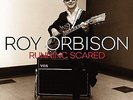 ORBISON, ROY-Running Scared (180g) (2LP)  VINYL NEW