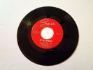 Harry & the Catalinas Rare Wisconsin Garage 45 RPM Sara Records By My Window