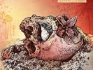 THE ACACIA STRAIN - DEATH IS THE ONLY MORTAL  VINYL LP + CD NEW+